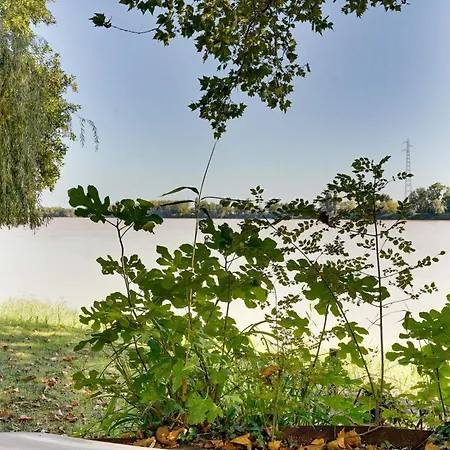 La Demeure - Incroyable Maison En Bord De Dordogne Holiday home Saint-Loubes